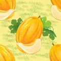 Seamless pattern of ripe melon