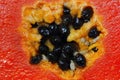 Seamless pattern of ripe papaya with seeds background Royalty Free Stock Photo