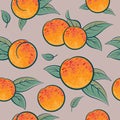 Seamless Pattern with Ripe Peach or Apricot and Leaves. Style Packaging Design with Fruit. Royalty Free Stock Photo