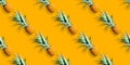 Seamless pattern of ripe pineapples isolated on orange background. Summer exotic fruit Royalty Free Stock Photo