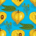 Seamless Pattern. Ripe Yellow Canistel