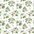 Seamless pattern with rose buds and leaves on whit