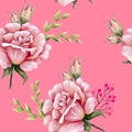 Seamless pattern with rose flowers on a pink background