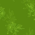 Seamless pattern with rose. Sketch on the green background