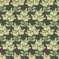Seamless pattern with roses against a dark backgro