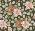 Seamless pattern Roses. Beautiful isolated flowers Vintage background Wallpaper Drawing engraving Vector illustration blooming Royalty Free Stock Photo