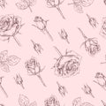 Seamless Pattern with Roses . Detailed hand-drawn sketches, vector Royalty Free Stock Photo