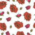 Seamless Pattern with Roses . Detailed hand-drawn sketches, vector Royalty Free Stock Photo