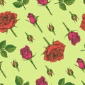 Seamless Pattern with Roses . Detailed hand-drawn sketches, vector Royalty Free Stock Photo