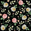 Seamless pattern with roses. Drawn by hand. Black background Royalty Free Stock Photo