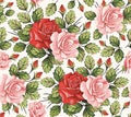 Seamless pattern Roses. Beautiful isolated flowers Vintage background Wallpaper Drawing engraving Vector illustration blooming Royalty Free Stock Photo