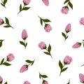 Seamless pattern with roses. Vintage floral background. Vector illustration. Royalty Free Stock Photo