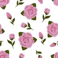 Seamless pattern with roses. Vintage floral background. Vector illustration. Royalty Free Stock Photo