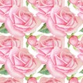 Seamless pattern with roses. Watercolor hand drawn illustration isolated on white background. For textiles, wallpapers Royalty Free Stock Photo