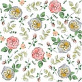 Seamless pattern with roses. Drawn by hand. Royalty Free Stock Photo