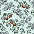 Seamless pattern of rowan branch with autumn leaves and ash berries, graphic pattern, botanical sketch, set of colored and black Royalty Free Stock Photo