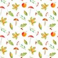 Seamless pattern of a rowan, floral, basket, berries,maple,boletus, apple and agaric.