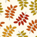 Seamless pattern with rowan leaf in line art flat style. Astract leaf texture, endless background. For wallpaper