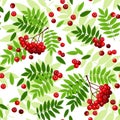 Seamless pattern with rowan leaves and berries.