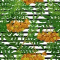 Seamless pattern with rowanberry on strips. Summer background.