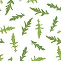 Seamless pattern with rucola or arugula.