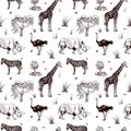 Seamless pattern safari wildlife isolated on white background. African animals giraffe, ostrich, rhinoceros, zebra in engraving Royalty Free Stock Photo