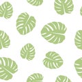 Seamless pattern with sage green monstera leaves on white background