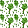 Seamless pattern with sage leaves and bunches. Hand drawn greens and leaf vegetables. Vector illustration in colored sketch style Royalty Free Stock Photo