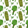 Seamless pattern with sage leaves and bunches. Hand drawn greens and leaf vegetables. Vector illustration in colored sketch style Royalty Free Stock Photo