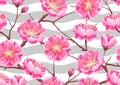 Seamless pattern with sakura or cherry blossom. Floral japanese ornament of blooming flowers Royalty Free Stock Photo