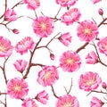 Seamless pattern with sakura or cherry blossom. Floral japanese ornament of blooming flowers Royalty Free Stock Photo