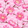 Seamless pattern with sakura or cherry blossom. Floral japanese ornament of blooming flowers Royalty Free Stock Photo