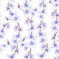 Seamless pattern. Sakura flowers drawing watercolor blue color on a white background. blooming cherry design for textiles, ceramic Royalty Free Stock Photo