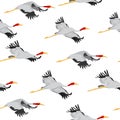 Seamless pattern of Sarus crane taking flight Royalty Free Stock Photo