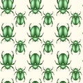 seamless pattern of a scarab beetles, vector insect in shiny green color isolated on a white vintage background