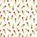 Seamless pattern with scattered red tulips on a white background. Spring time, flowers. Pencil drawing. Design for textiles,