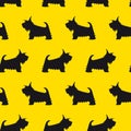 Seamless pattern with Scottish Terrier silhouette on a yellow background