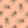 Seamless pattern with Scutigera coleoptrata. millipede. hand-drawn house centipede . Vector