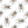 Seamless pattern with Scutigera coleoptrata. millipede. hand-drawn house centipede . Vector Royalty Free Stock Photo