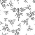 Seamless pattern. Sea animal. Glaucus atlanticus. Sketch scratch board imitation. Black and white.