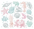 Seamless pattern sea animal. Royalty Free Stock Photo