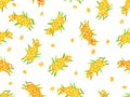 Seamless pattern sea-buckthorn berries Royalty Free Stock Photo