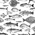 Seamless pattern with sea fishes Royalty Free Stock Photo