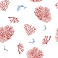 Seamless pattern of sea plants, coral watercolor isolated on white background. Pink agar agar seaweed and fish hand