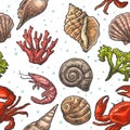 Seamless pattern sea shell, coral, crab and shrimp. Vector engraving vintage illustrations. on white background