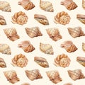 Seamless pattern with sea shells on beige background. Hand drawn watercolor underwater life Royalty Free Stock Photo