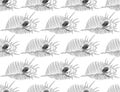 seamless pattern sea shells Venus comb Murex pecten, sea snail, marine gastropod mollusk in the family Muricidae Sketch black