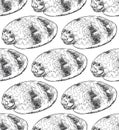 seamless pattern sea shells Volutidae, common name volutes, are a taxonomic family of predatory sea snails. Sketch black contour Royalty Free Stock Photo