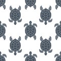 Seamless pattern with sea turtles. Cheloniidae.