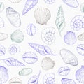 Seamless pattern of seashells. Hand drawn vector illustration. Marine background